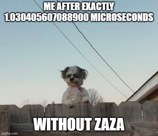 ME AFTER EXACTLY 1.030405607088900 MICROSECONDS; WITHOUT ZAZA | image tagged in offdazaza | made w/ Imgflip meme maker