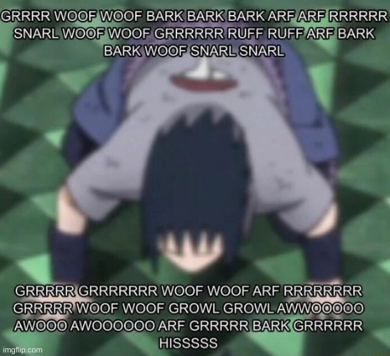 WOOF WOOF BARK | image tagged in woof woof bark | made w/ Imgflip meme maker