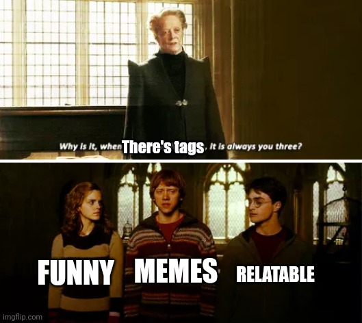 Does anyone else use these tags? | There's tags; RELATABLE; FUNNY; MEMES | image tagged in always you three,tags,here we go again,funny,memes,relatable | made w/ Imgflip meme maker