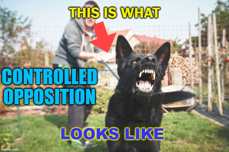 This Is What Controlled Opposition Looks Like | THIS IS WHAT; CONTROLLED OPPOSITION; LOOKS LIKE | image tagged in controlled opposition | made w/ Imgflip meme maker