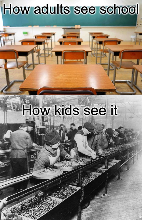 School | How adults see school; How kids see it | image tagged in imgflip | made w/ Imgflip meme maker