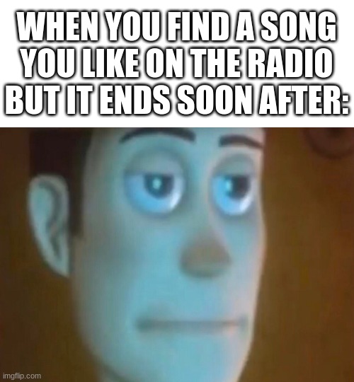 Hot Dogs are 46% Dog | WHEN YOU FIND A SONG YOU LIKE ON THE RADIO BUT IT ENDS SOON AFTER: | image tagged in annoyed woody | made w/ Imgflip meme maker