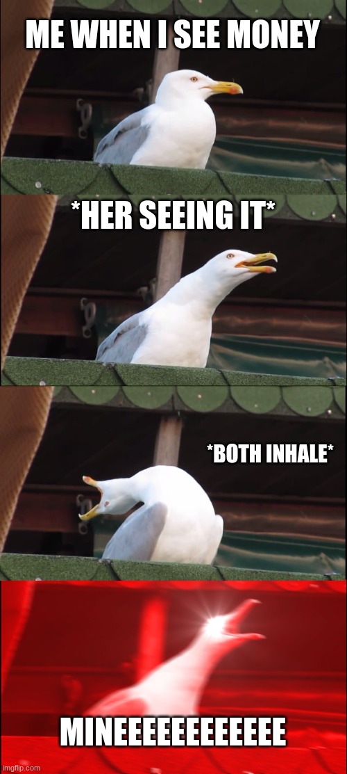 Inhaling Seagull | ME WHEN I SEE MONEY; *HER SEEING IT*; *BOTH INHALE*; MINEEEEEEEEEEEE | image tagged in memes,inhaling seagull | made w/ Imgflip meme maker