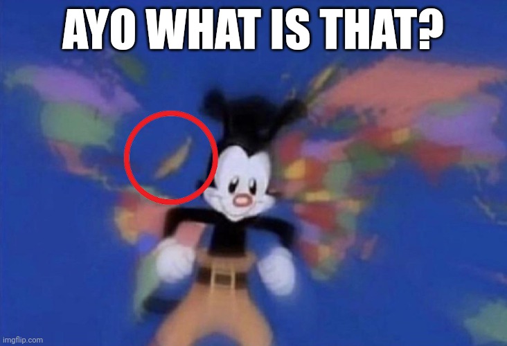 ??? | AYO WHAT IS THAT? | image tagged in yakko's world | made w/ Imgflip meme maker