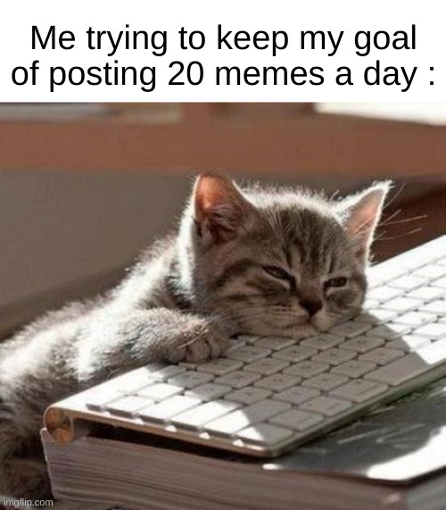 I am working very hard posting those memes. Please take time to enjoy them :) | Me trying to keep my goal of posting 20 memes a day : | image tagged in tired cat,cats | made w/ Imgflip meme maker
