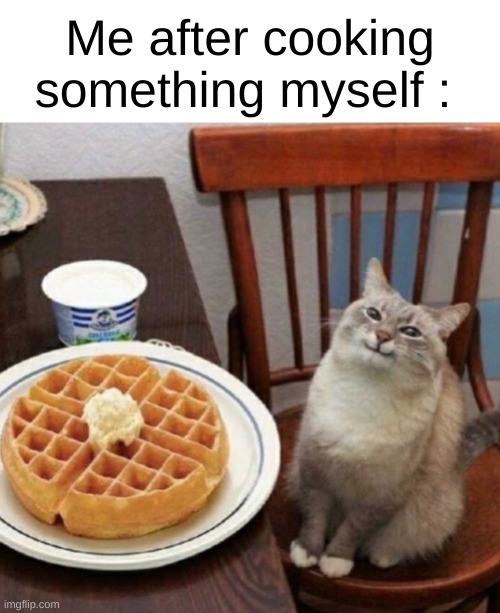 I always feel so proud. What about you ? | Me after cooking something myself : | image tagged in cat likes their waffle,cats | made w/ Imgflip meme maker