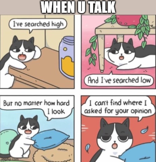 I can’t find where I asked for your opinion | WHEN U TALK | image tagged in i can t find where i asked for your opinion | made w/ Imgflip meme maker
