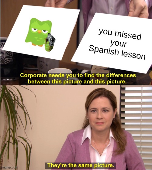 They're The Same Picture Meme | you missed your Spanish lesson | image tagged in memes,they're the same picture | made w/ Imgflip meme maker
