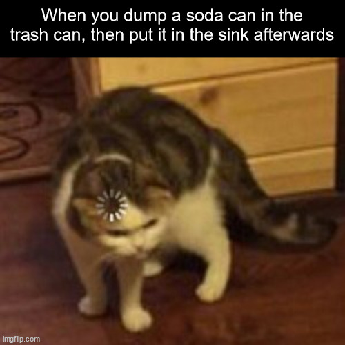 This happens to me sometimes, then I realize... |  When you dump a soda can in the trash can, then put it in the sink afterwards | image tagged in loading cat,memes,relatable | made w/ Imgflip meme maker