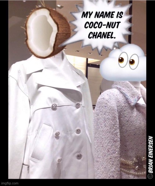 Koko-nut Khanel and Head in the Klouds | image tagged in fashion,chanel,saks fifth avenue,emooji art,head in the klouds,brian einersen | made w/ Imgflip meme maker