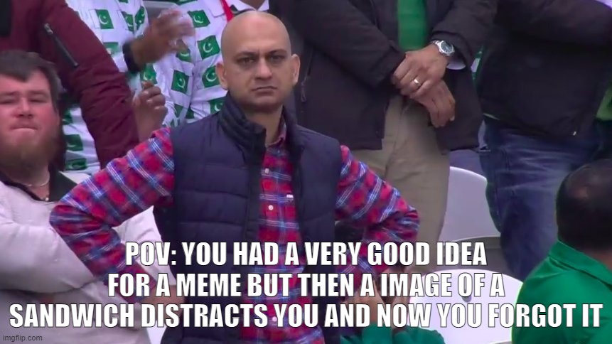 Disappointed Muhammad Sarim Akhtar | POV: YOU HAD A VERY GOOD IDEA FOR A MEME BUT THEN A IMAGE OF A SANDWICH DISTRACTS YOU AND NOW YOU FORGOT IT | image tagged in disappointed muhammad sarim akhtar | made w/ Imgflip meme maker