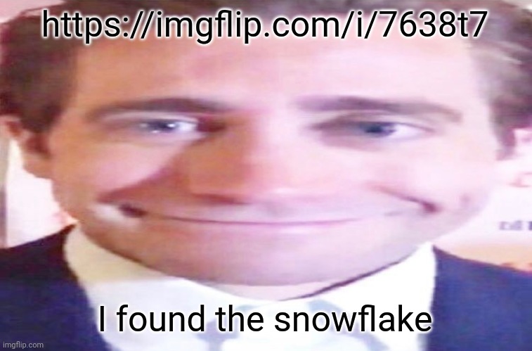https://imgflip.com/i/7638t7 | https://imgflip.com/i/7638t7; I found the snowflake | image tagged in wide jake gyllenhaal | made w/ Imgflip meme maker