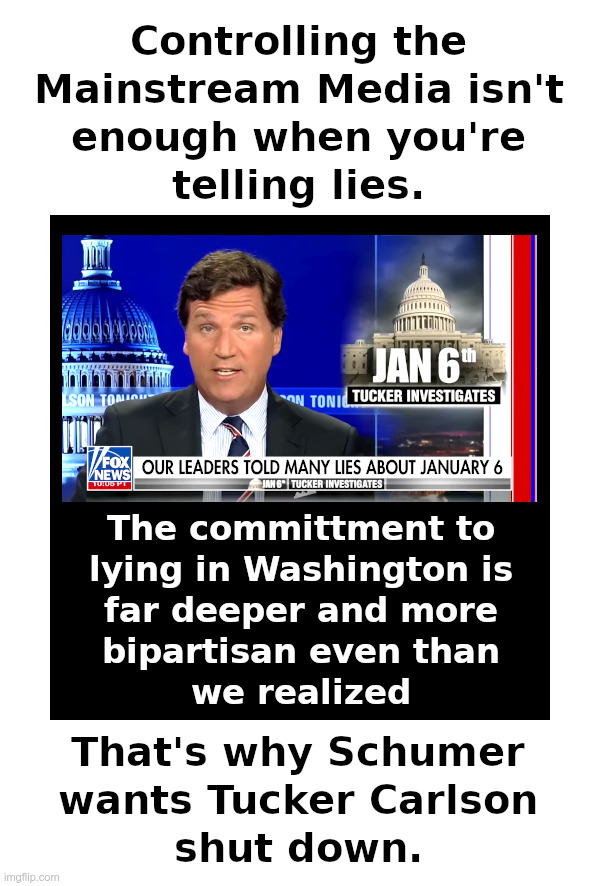 Tucker Carlson: Here is the Truth | image tagged in tucker carlson,chuck schumer,mainstream media,january 6th,show trial,media lies | made w/ Imgflip meme maker