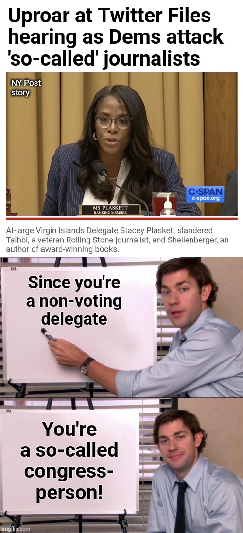Dems: you don't have first amendment rights if we call you a "so-called" journalist! | Uproar at Twitter Files
hearing as Dems attack
'so-called' journalists; NY Post
story; Since you're
a non-voting
delegate; You're a so-called congress-
person! | image tagged in jim halpert explains,memes,twitter files,democrats,joe biden,house of representatives | made w/ Imgflip meme maker