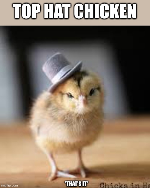 TOP HAT CHICKEN; *THAT'S IT* | image tagged in memes,look at me | made w/ Imgflip meme maker