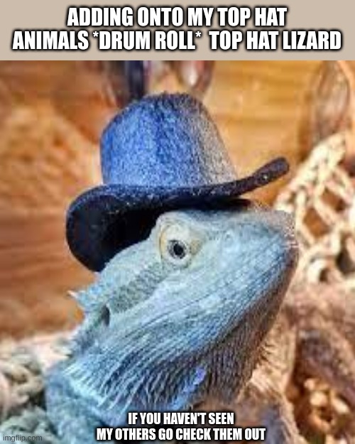 ADDING ONTO MY TOP HAT ANIMALS *DRUM ROLL*  TOP HAT LIZARD; IF YOU HAVEN'T SEEN MY OTHERS GO CHECK THEM OUT | image tagged in memes,look at me | made w/ Imgflip meme maker