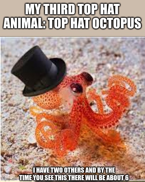MY THIRD TOP HAT ANIMAL: TOP HAT OCTOPUS; I HAVE TWO OTHERS AND BY THE TIME YOU SEE THIS THERE WILL BE ABOUT 6 | image tagged in memes,look at me | made w/ Imgflip meme maker