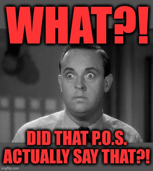 shocked face | WHAT?! DID THAT P.O.S. ACTUALLY SAY THAT?! | image tagged in shocked face | made w/ Imgflip meme maker