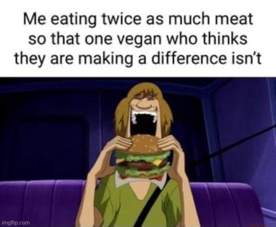 image tagged in memes | made w/ Imgflip meme maker