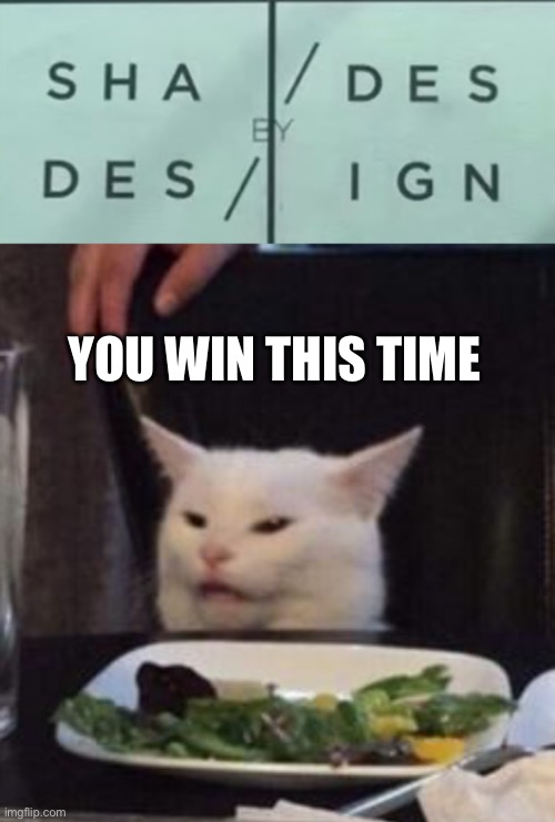 mod note: Sdheasdiegsn | YOU WIN THIS TIME | image tagged in memes,woman yelling at cat | made w/ Imgflip meme maker