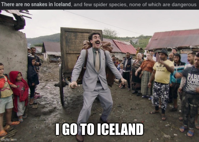 Who wanna come with me? | I GO TO ICELAND | image tagged in borat i go to america | made w/ Imgflip meme maker