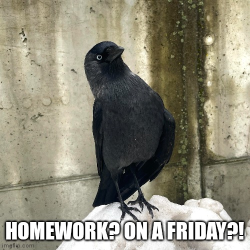 HOMEWORK? ON A FRIDAY?! | made w/ Imgflip meme maker