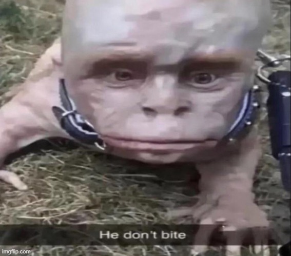 Worse, he judges you. | made w/ Imgflip meme maker