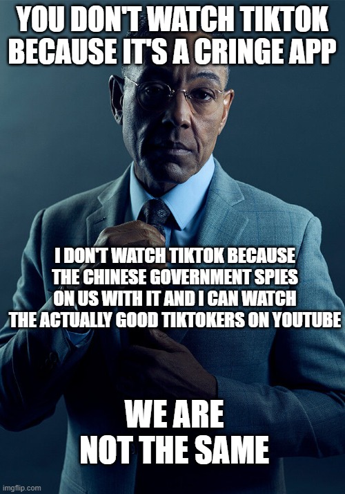 Honestly though | YOU DON'T WATCH TIKTOK BECAUSE IT'S A CRINGE APP; I DON'T WATCH TIKTOK BECAUSE THE CHINESE GOVERNMENT SPIES ON US WITH IT AND I CAN WATCH THE ACTUALLY GOOD TIKTOKERS ON YOUTUBE; WE ARE NOT THE SAME | image tagged in gus fring we are not the same,memes,funny,for tiktok haters only | made w/ Imgflip meme maker