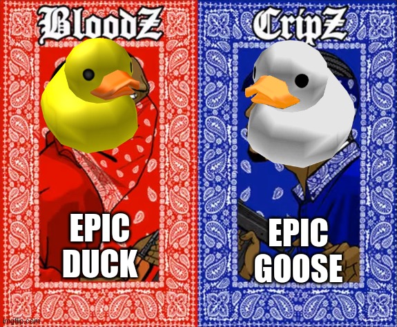 which side are you on | EPIC GOOSE; EPIC DUCK | image tagged in which side are you on,duck,goose | made w/ Imgflip meme maker
