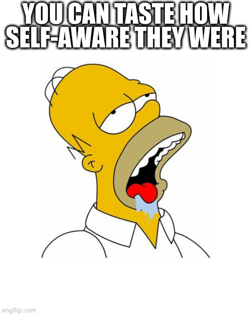 Homer Simpson Drooling | YOU CAN TASTE HOW SELF-AWARE THEY WERE | image tagged in homer simpson drooling | made w/ Imgflip meme maker