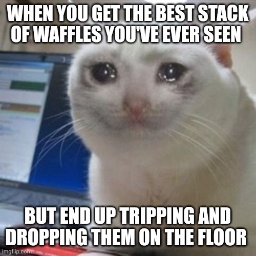 This is so sad!!! | WHEN YOU GET THE BEST STACK OF WAFFLES YOU'VE EVER SEEN; BUT END UP TRIPPING AND DROPPING THEM ON THE FLOOR | image tagged in crying cat | made w/ Imgflip meme maker