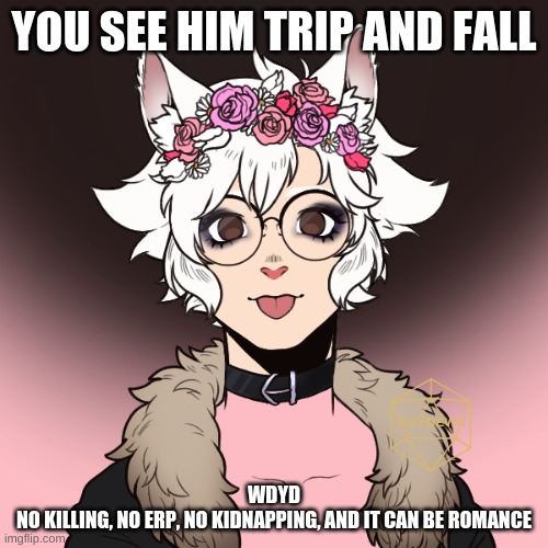 YOU SEE HIM TRIP AND FALL; WDYD
NO KILLING, NO ERP, NO KIDNAPPING, AND IT CAN BE ROMANCE | made w/ Imgflip meme maker