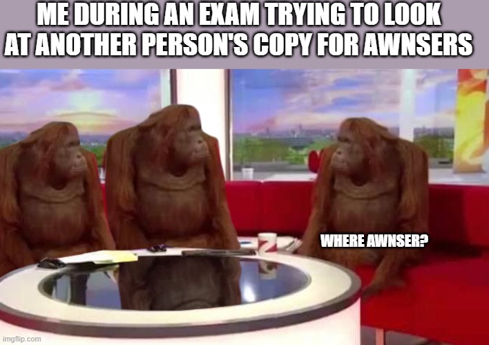 where monkey | ME DURING AN EXAM TRYING TO LOOK AT ANOTHER PERSON'S COPY FOR AWNSERS; WHERE AWNSER? | image tagged in where monkey | made w/ Imgflip meme maker
