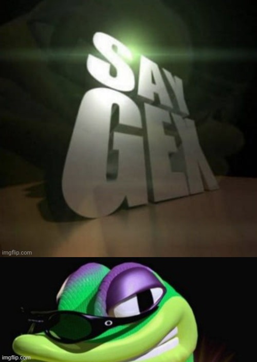 i said gex | image tagged in say gex,gex | made w/ Imgflip meme maker