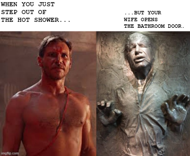Hot and Cold Shower |  WHEN YOU JUST STEP OUT OF THE HOT SHOWER... ...BUT YOUR WIFE OPENS THE BATHROOM DOOR. | image tagged in han solo,indiana jones | made w/ Imgflip meme maker