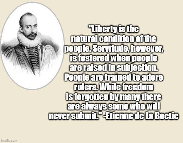 Liberty is the natural condistion | "Liberty is the natural condition of the people. Servitude, however, is fostered when people are raised in subjection. People are trained to adore rulers. While freedom is forgotten by many there are always some who will never submit." -Etienne de La Boetie | image tagged in liberty,politics,history | made w/ Imgflip meme maker