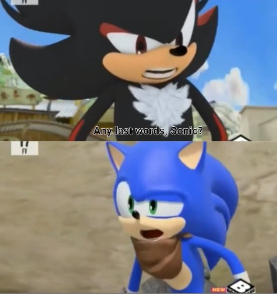 High Quality Any last words, Sonic? Blank Meme Template