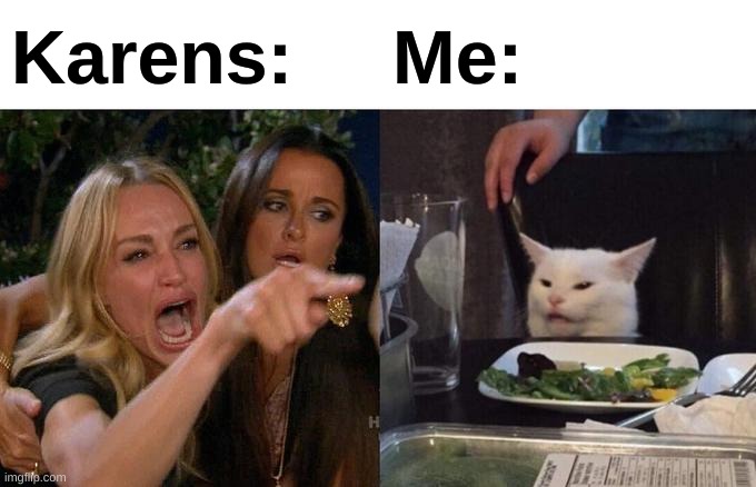 Woman Yelling At Cat | Karens:; Me: | image tagged in memes,woman yelling at cat | made w/ Imgflip meme maker