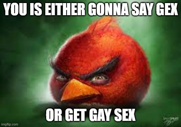 say gex | YOU IS EITHER GONNA SAY GEX; OR GET GAY SEX | image tagged in realistic red angry birds | made w/ Imgflip meme maker