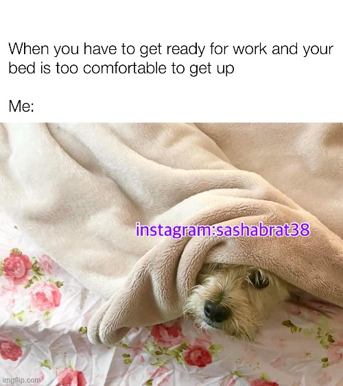 Don’t want to go to work | image tagged in viral meme,rihanna | made w/ Imgflip meme maker