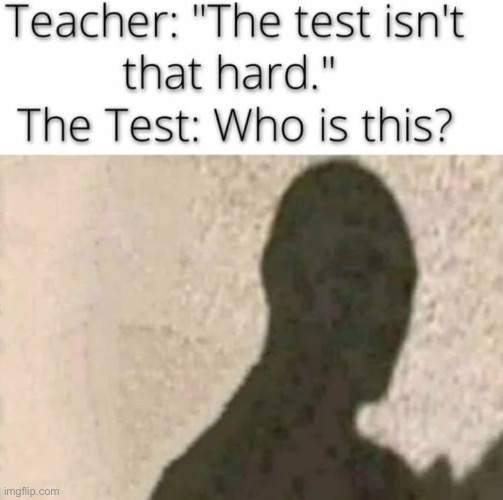 who? | image tagged in bruh,lol,why are you reading this | made w/ Imgflip meme maker