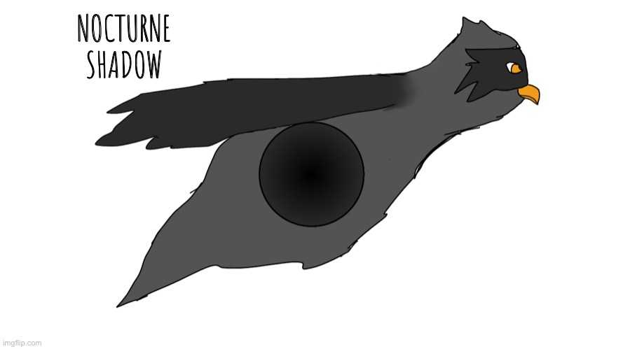Nocturne- Shadow | NOCTURNE
SHADOW | image tagged in erethorbs | made w/ Imgflip meme maker