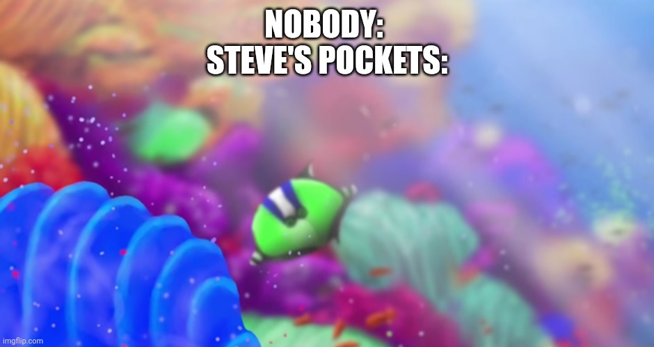 NOBODY: 
STEVE'S POCKETS: | made w/ Imgflip meme maker