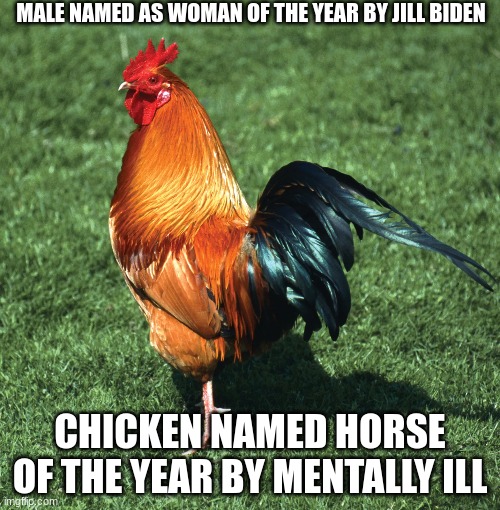chicken | MALE NAMED AS WOMAN OF THE YEAR BY JILL BIDEN; CHICKEN NAMED HORSE OF THE YEAR BY MENTALLY ILL | image tagged in joe biden | made w/ Imgflip meme maker