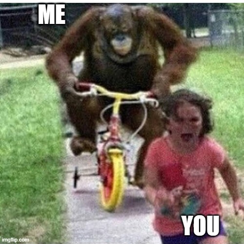 idk | ME; YOU | image tagged in monkey | made w/ Imgflip meme maker