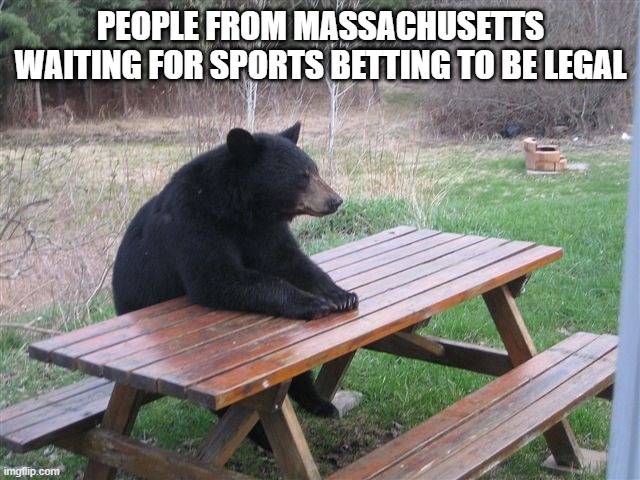 Patient Bear | PEOPLE FROM MASSACHUSETTS WAITING FOR SPORTS BETTING TO BE LEGAL | image tagged in patient bear | made w/ Imgflip meme maker