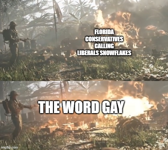Flamethrower Guy | FLORIDA CONSERVATIVES CALLING LIBERALS SNOWFLAKES; THE WORD GAY | image tagged in flamethrower guy | made w/ Imgflip meme maker