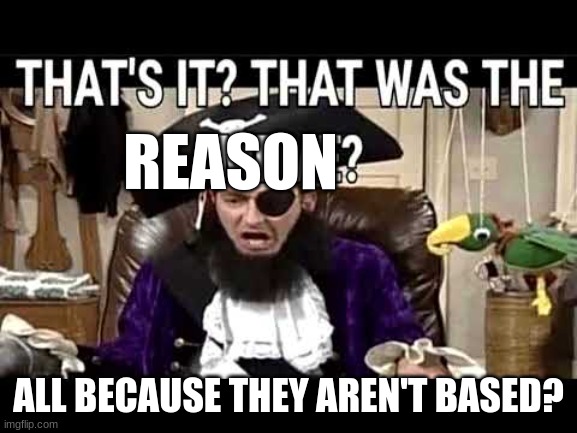 that's it? that's was the meme? | REASON ALL BECAUSE THEY AREN'T BASED? | image tagged in that's it that's was the meme | made w/ Imgflip meme maker