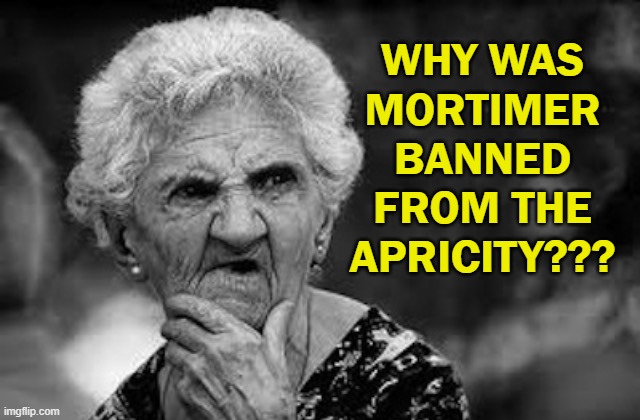 Why was Mortimer banned from The Apricity??? | WHY WAS
MORTIMER
BANNED
FROM THE APRICITY??? | image tagged in thinking old woman | made w/ Imgflip meme maker