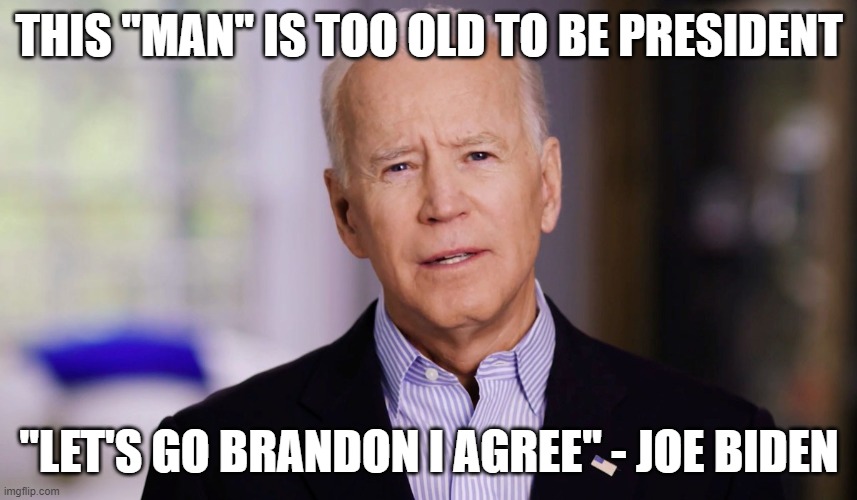 Biden hates himself | THIS "MAN" IS TOO OLD TO BE PRESIDENT; "LET'S GO BRANDON I AGREE" - JOE BIDEN | image tagged in joe biden 2020,political meme | made w/ Imgflip meme maker